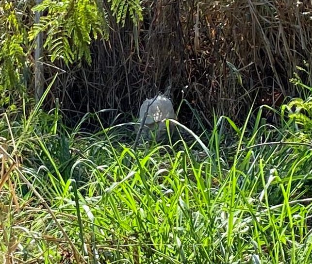 Polícia Civil vai investigar quem deixou explosivos na Avenida John Boyd Dunlop