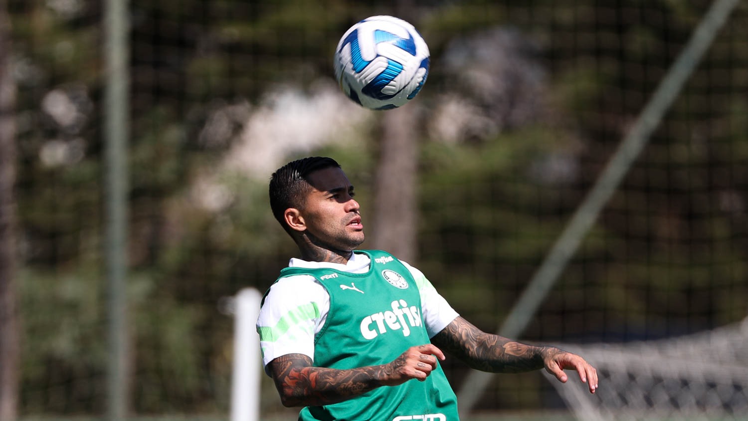 Abel Ferreira tem o “melhor Palmeiras” para enfrentar o Atlético-MG na Libertadores