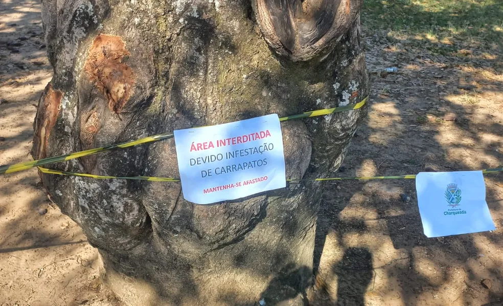 Charqueada interdita campo de futebol após aparição de carrapatos