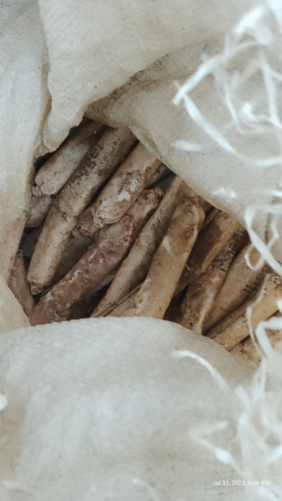 Explosivos encontrados na John Boyd tinham alto poder de destruição; OUÇA