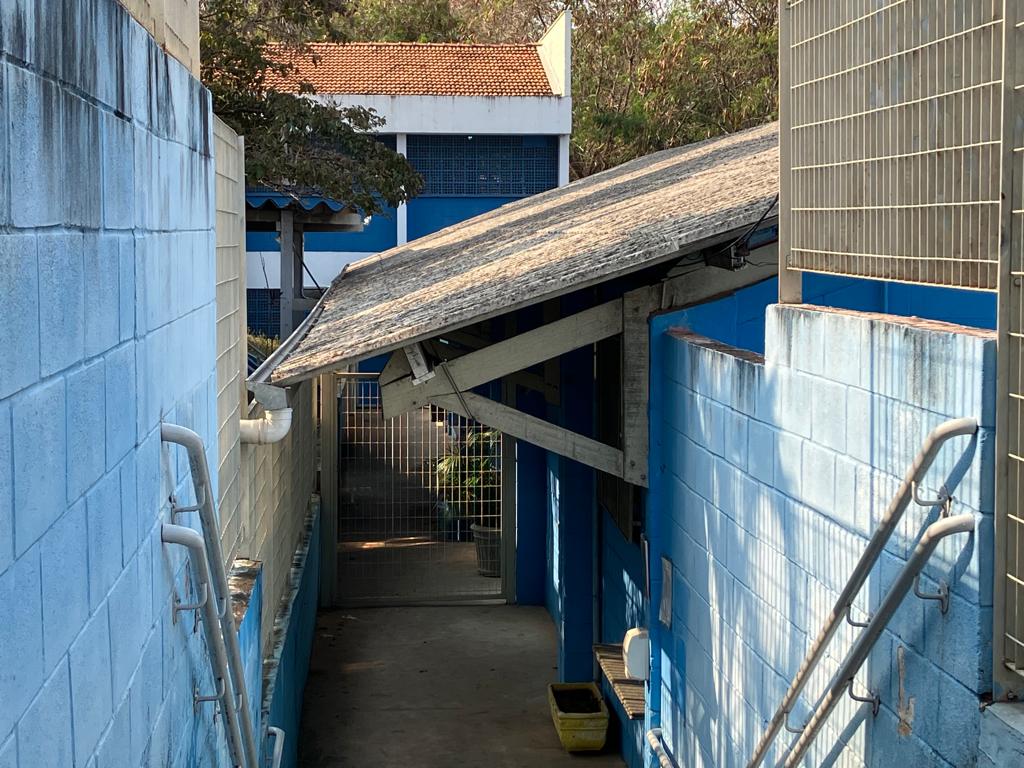 Mãe denuncia agressão a filha de 7 anos em escola estadual de Campinas