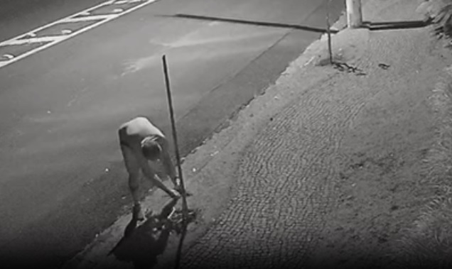 Homem destrói mudas de árvores no Parque Taquaral; VÍDEO