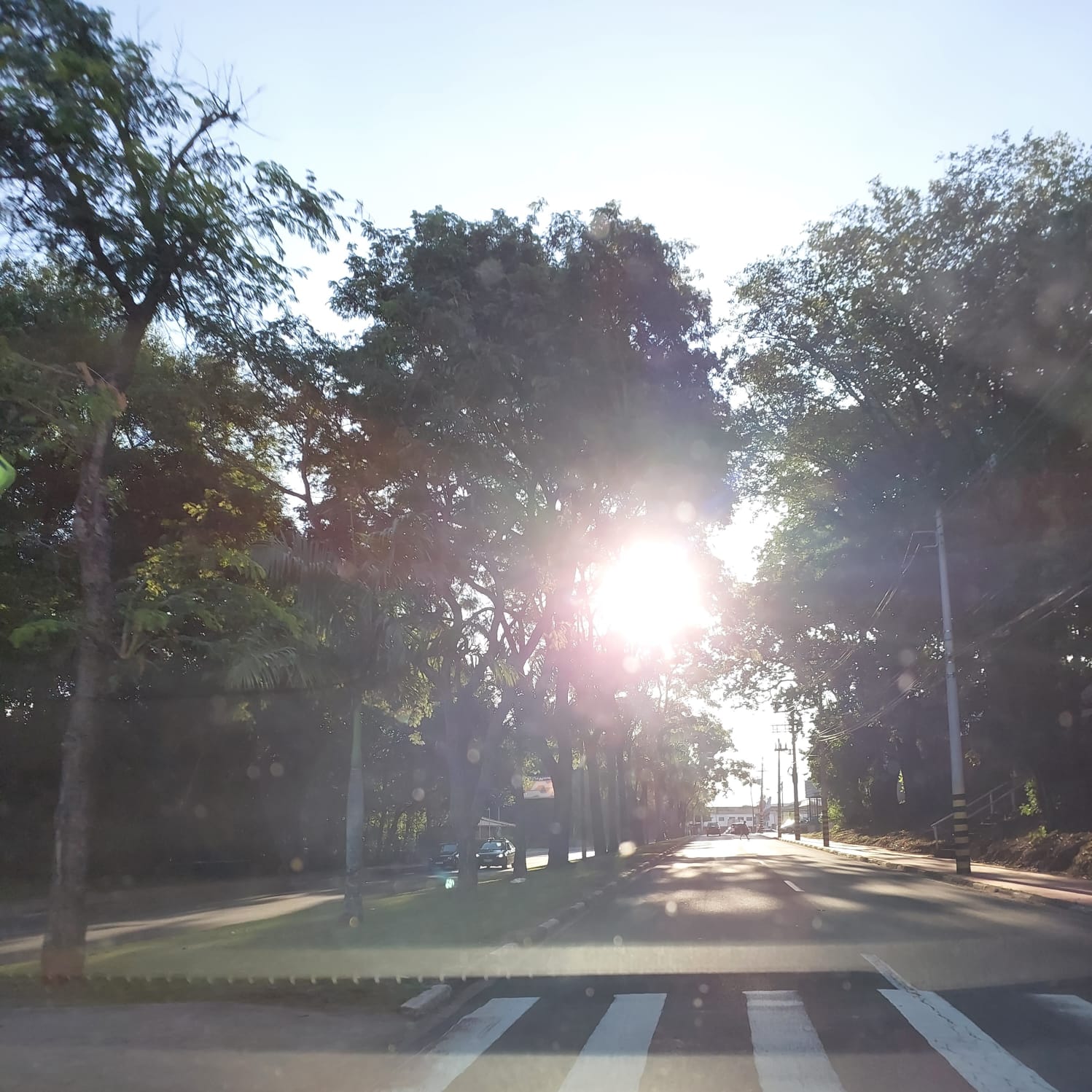 Tempo fica estável com sol e temperaturas que podem chegar aos 28º em Campinas; confira 