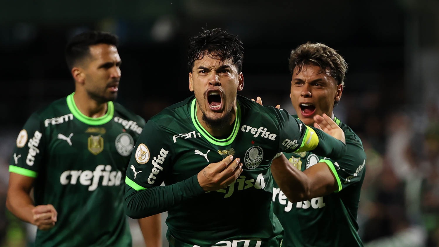 Comissão técnica do Palmeiras admite dificuldades em alcançar o Botafogo na briga pelo título