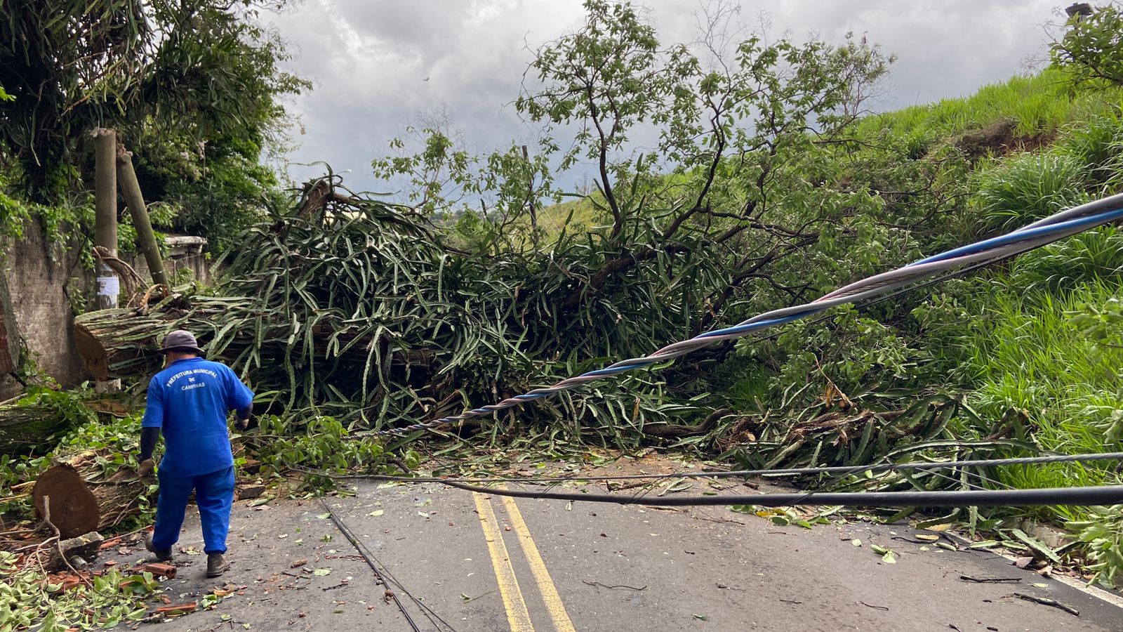 Defesa Civil não esperava vendaval que atingiu Campinas, afirma diretor 