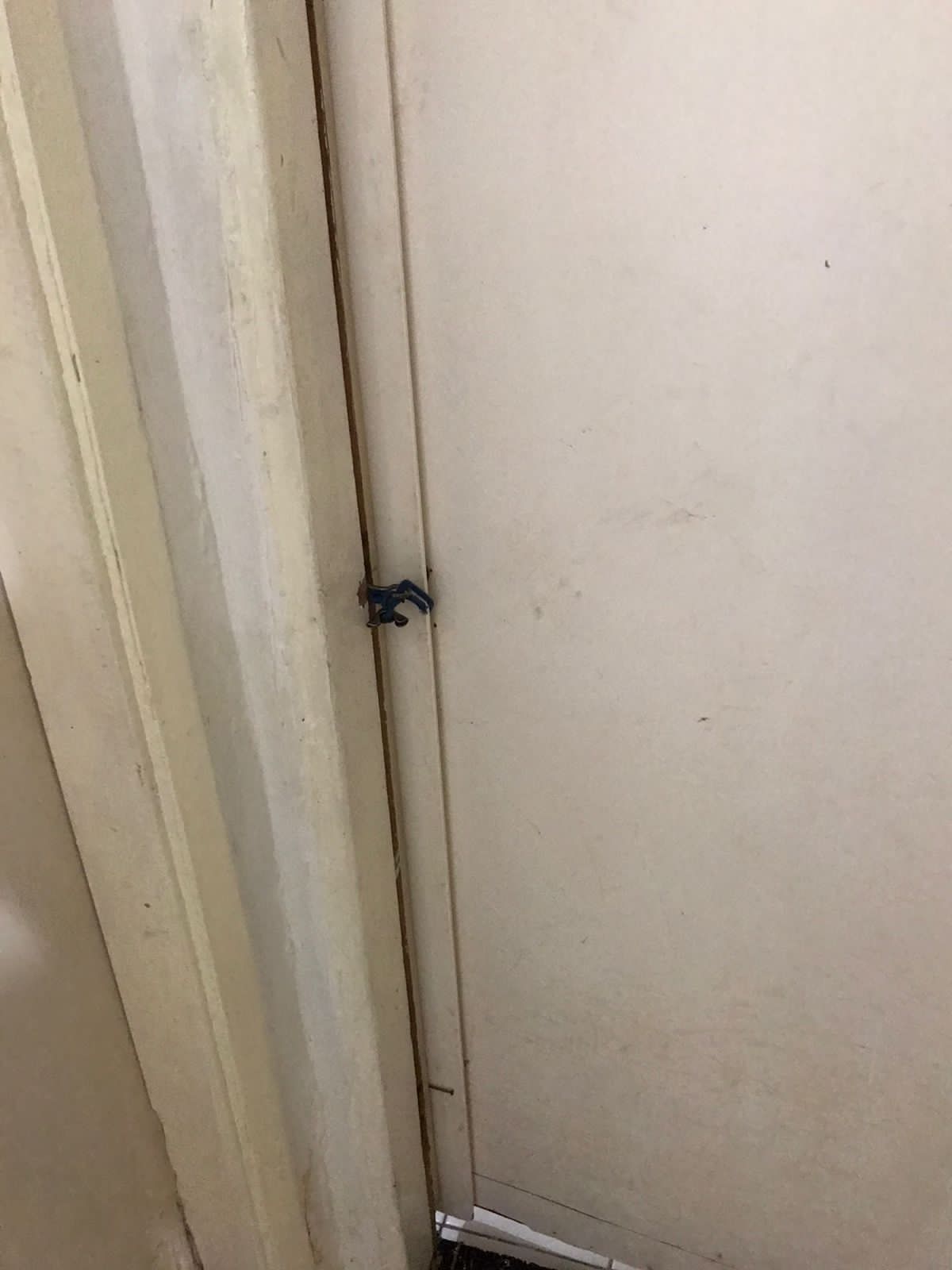 Idoso de 74 anos é resgatado após denúncias de maus-tratos