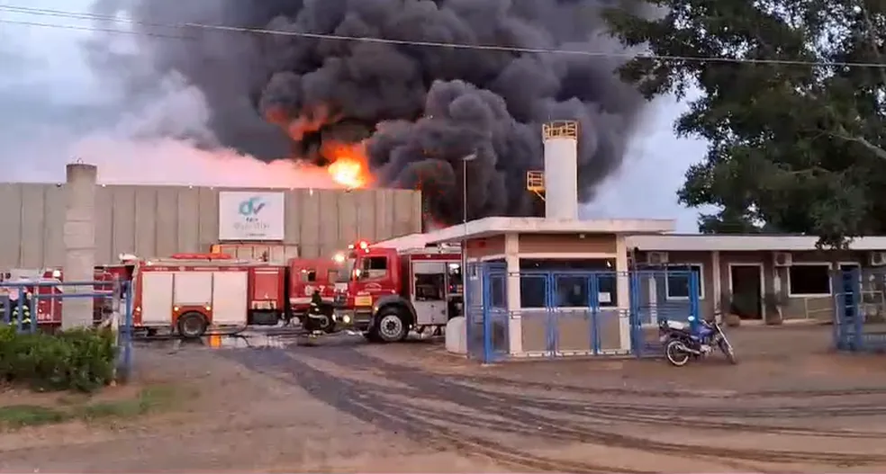 Controlado incêndio em indústria de óleo vegetal em Paulínia; não há feridos