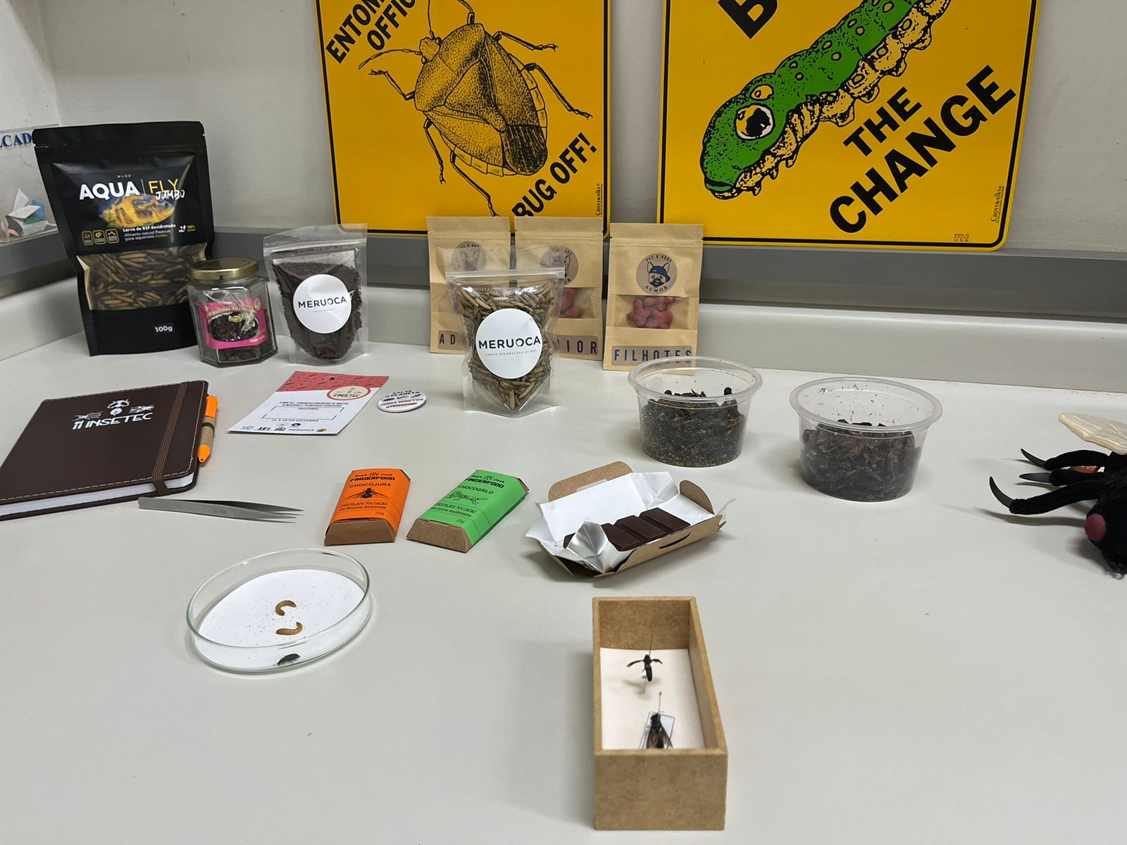 Insetos devem ser alternativa alimentar para a população mundial, afirma especialista