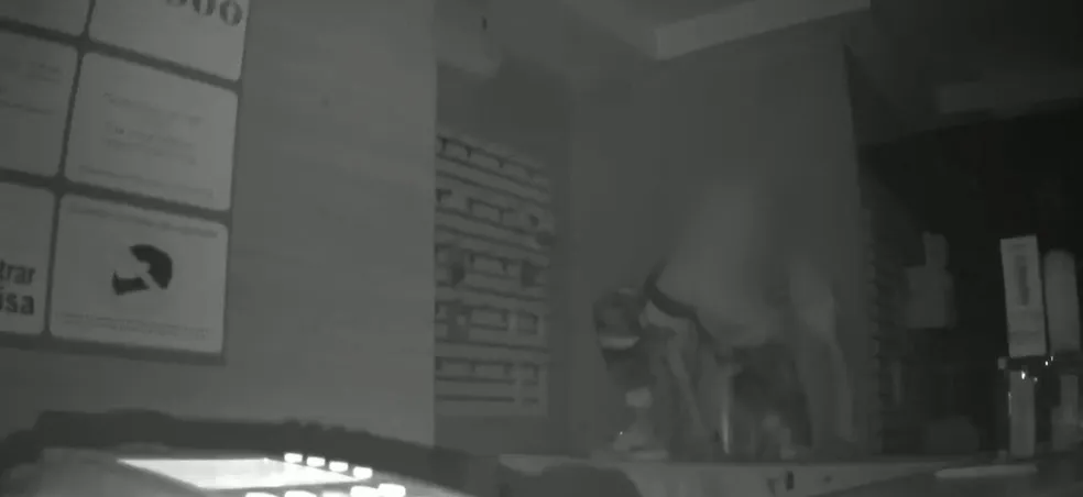 Homem que invadiu e furtou loja de informática é preso horas depois do crime