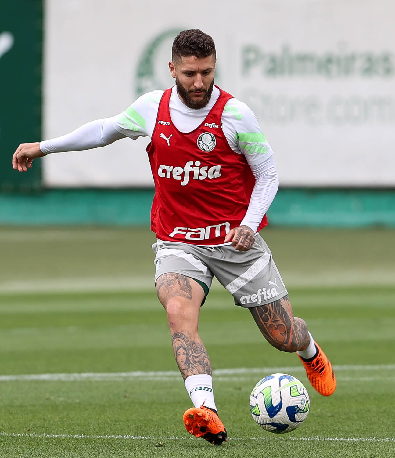 Meio-Campo Zé Rafael reforça o Palmeiras na “decisão” contra o Botafogo-RJ