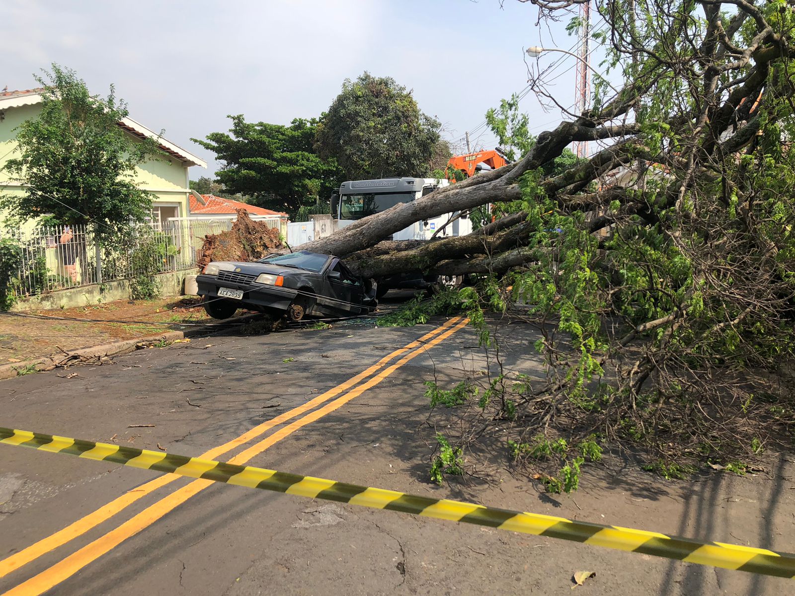 Temporal derruba 58 árvores em Campinas; três casos atingindo carros   