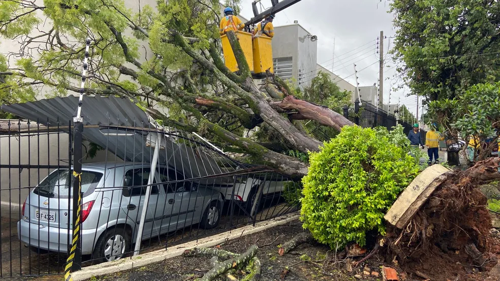 Defesa Civil registra queda de 82% no número de ocorrências em Campinas  