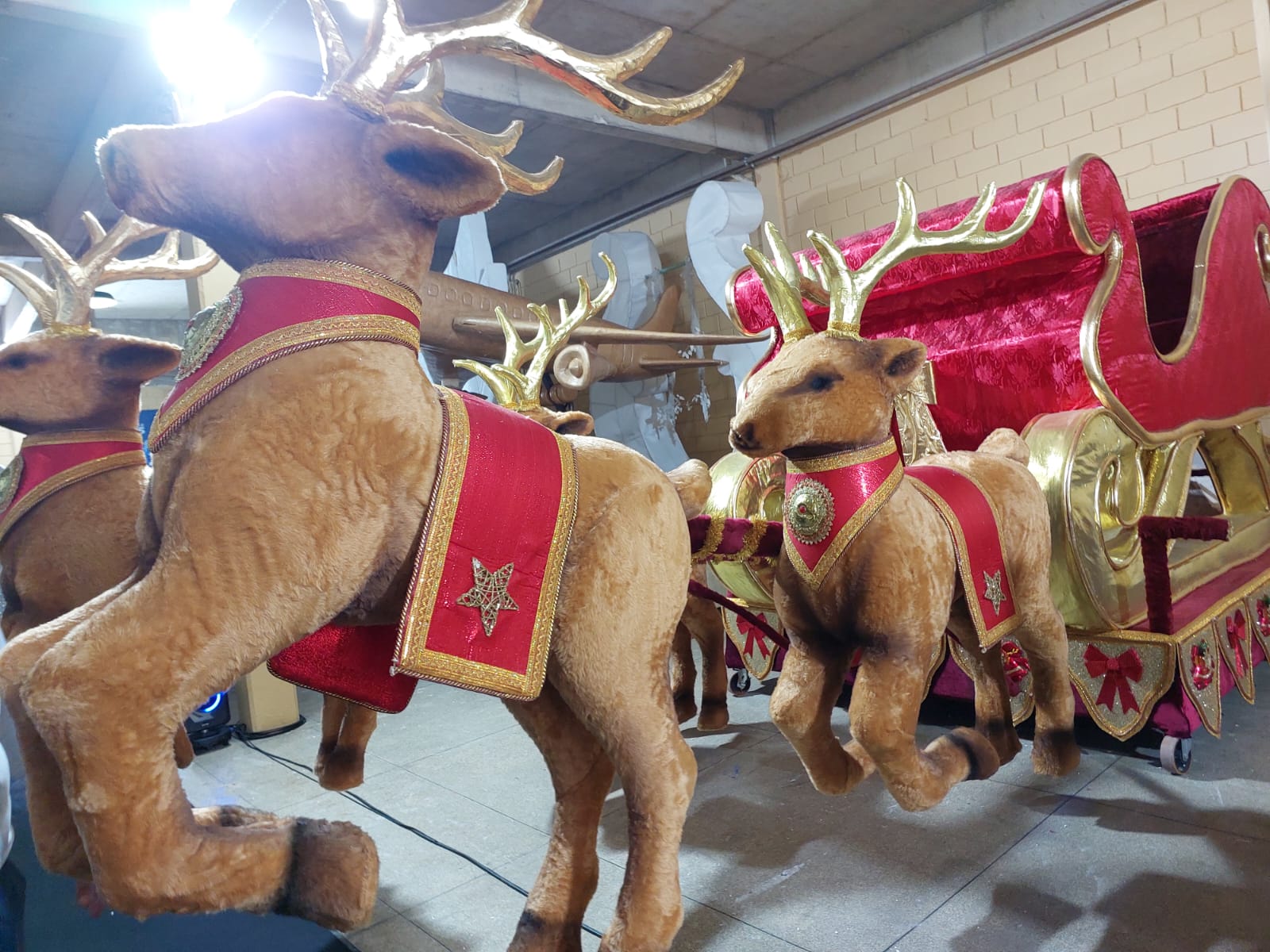 Programação oficial de natal em Campinas terá atividades nos bairros