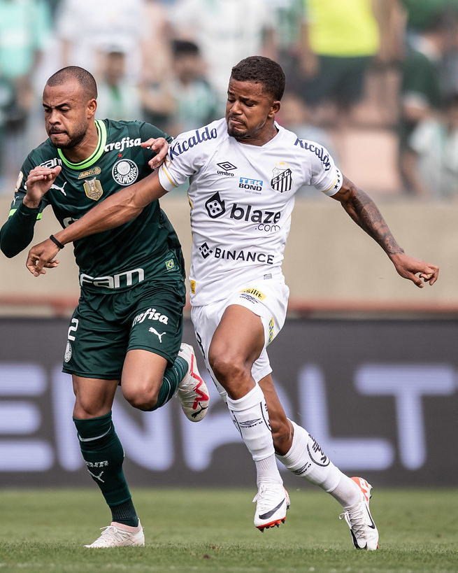 Técnico Marcelo Fernandes exalta humildade dos jogadores na campanha de recuperação do Santos