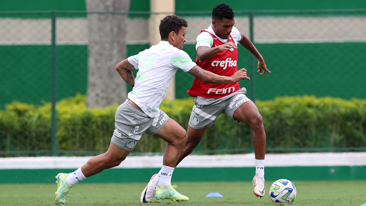 Após vitória histórica, Palmeiras volta aos trabalhos para enfrentar o Athletico-PR