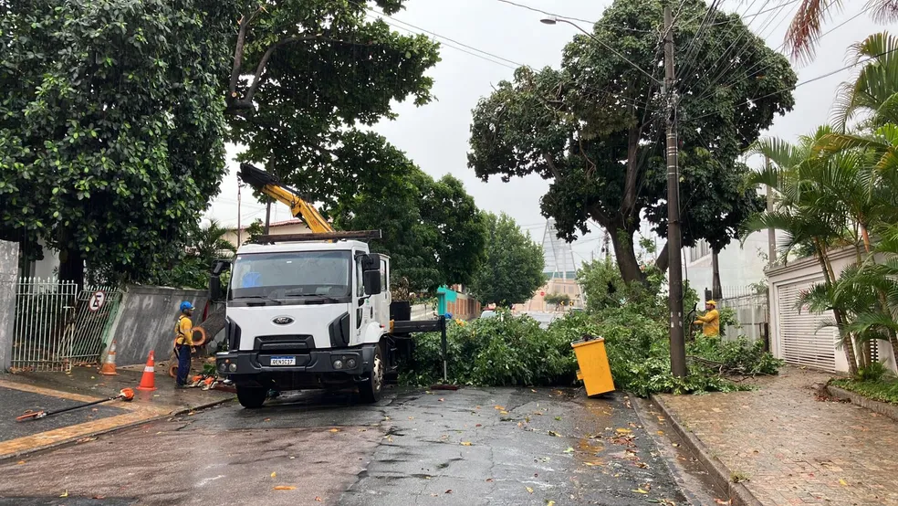 Chuva de domingo derruba 10 árvores e alaga Recanto dos Dourados em Campinas