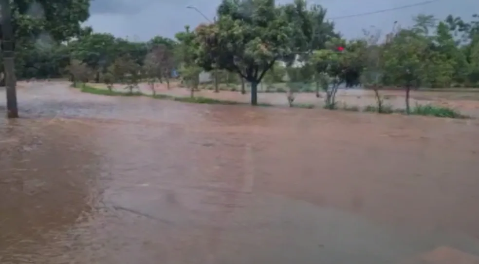 Chuva em Piracicaba derruba árvores e provoca alagamentos