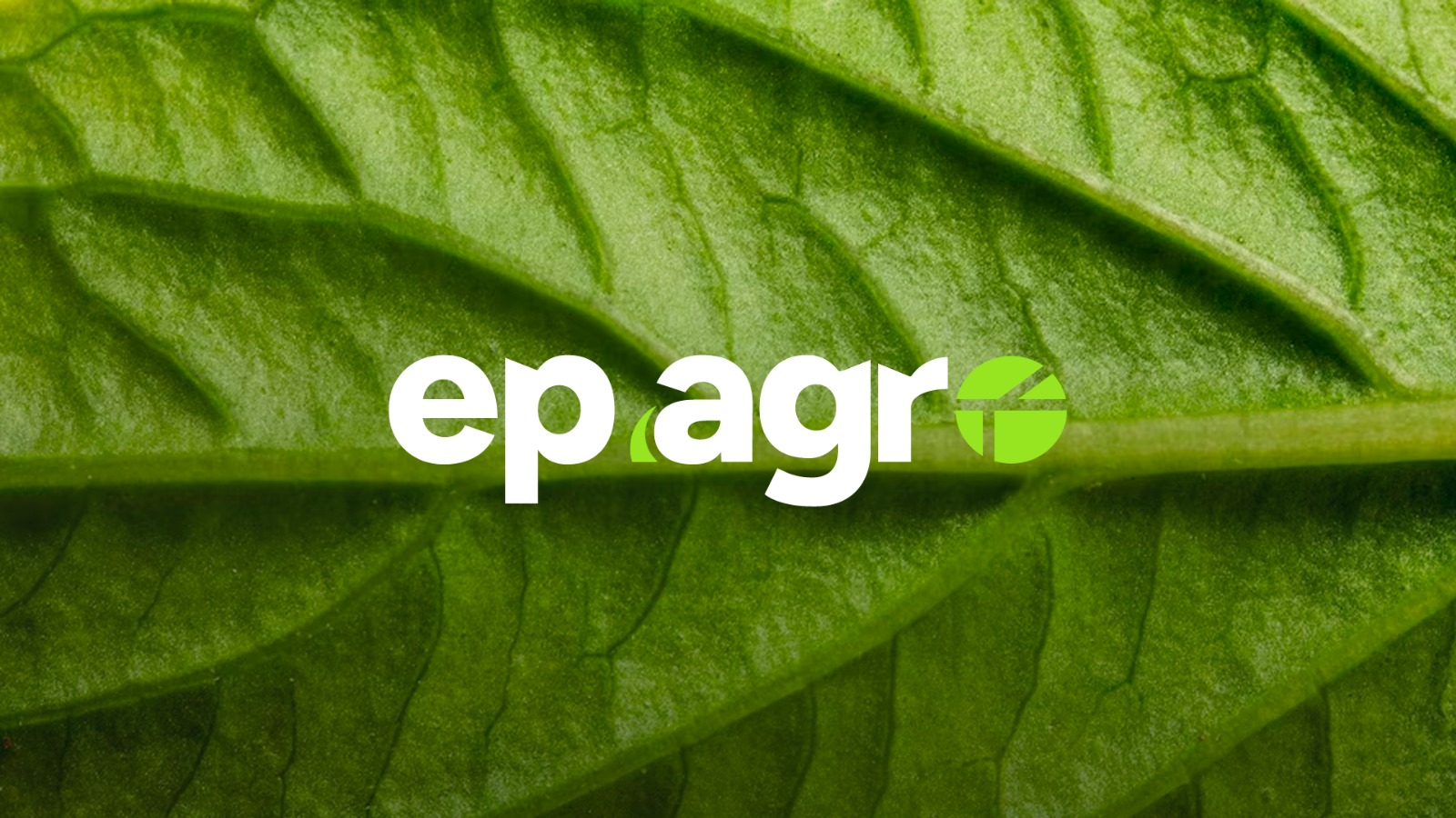 Ep. 39 – O levante de Guariba