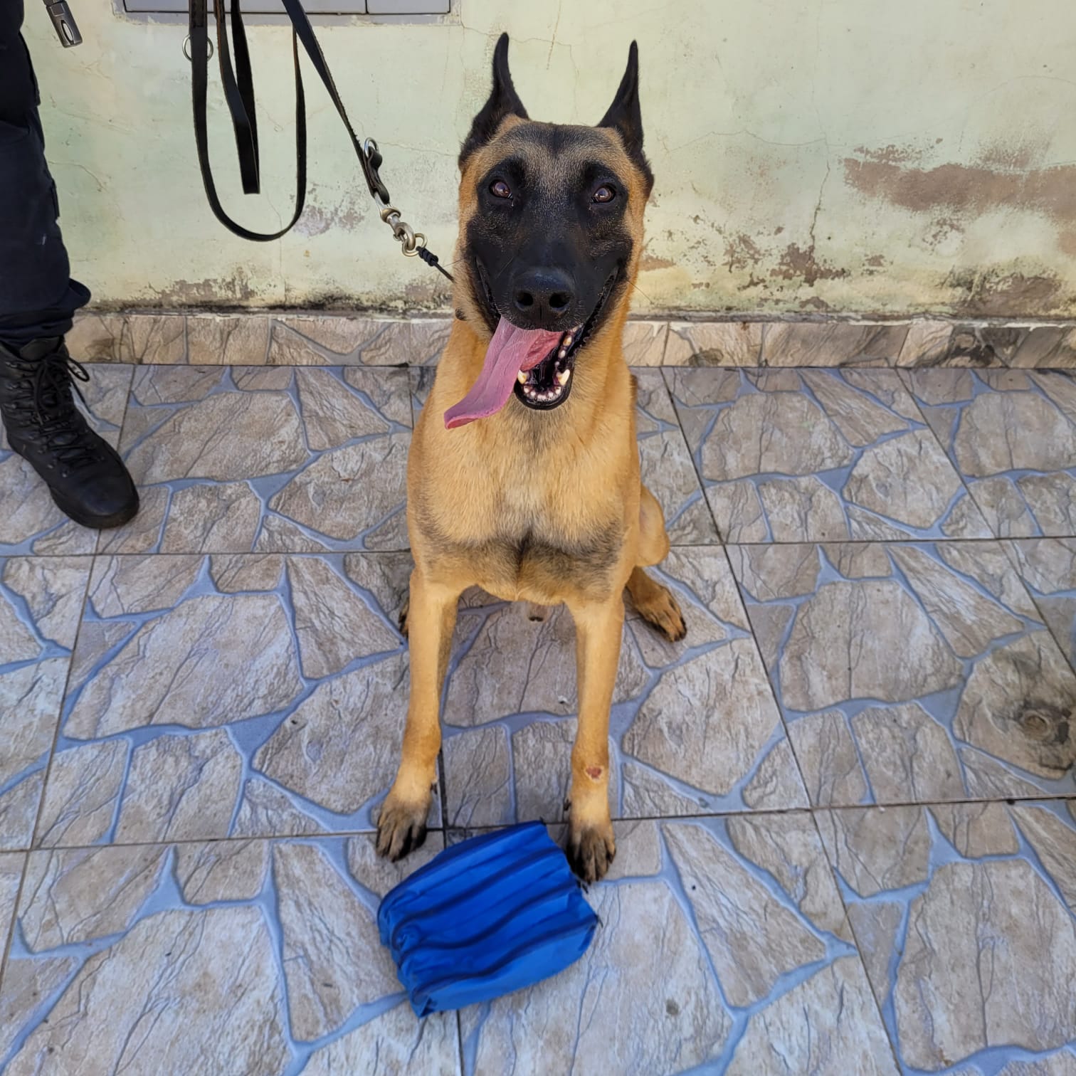 Homem é preso por tráfico de drogas no Morro Alto, em Paulínia