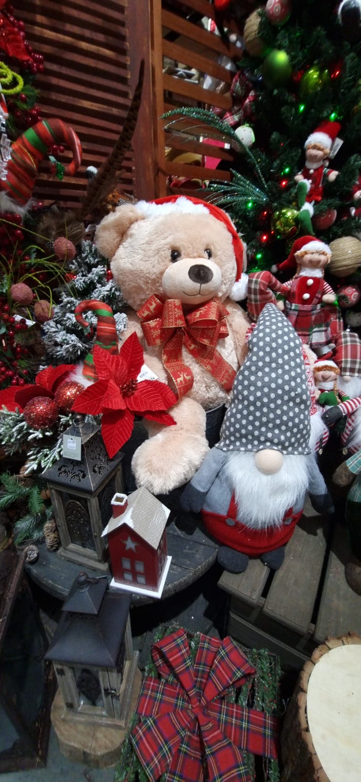 Mercado de Flores da Ceasa Campinas deve receber 50 mil visitantes até o Natal