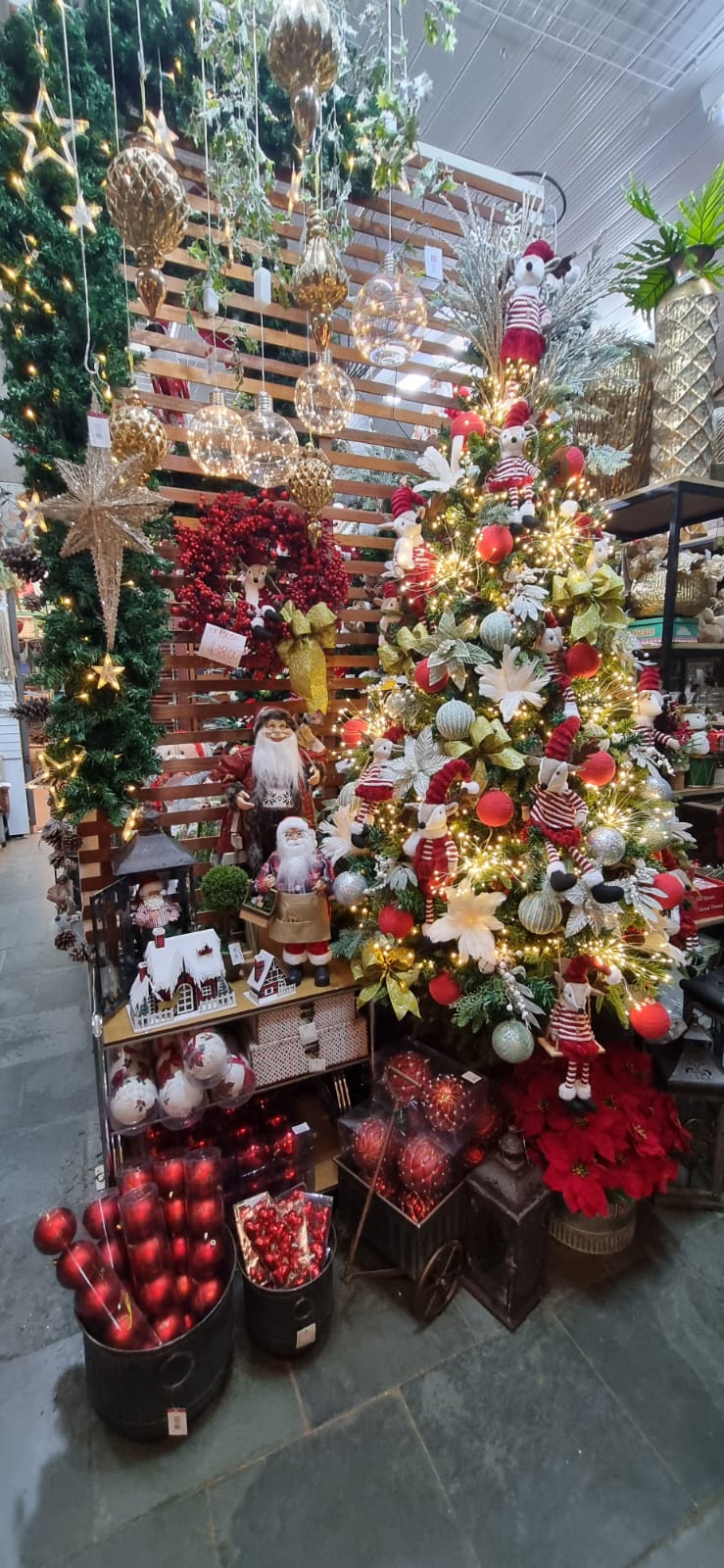 Mercado de Flores da Ceasa Campinas deve receber 50 mil visitantes até o Natal