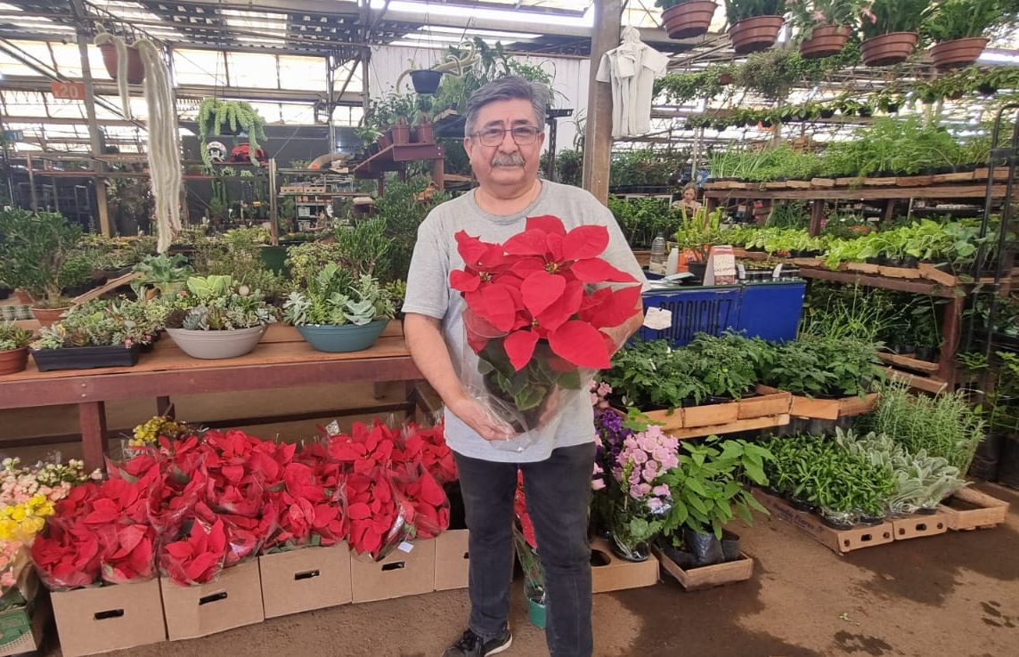 Mercado de Flores da Ceasa Campinas deve receber 50 mil visitantes até o Natal