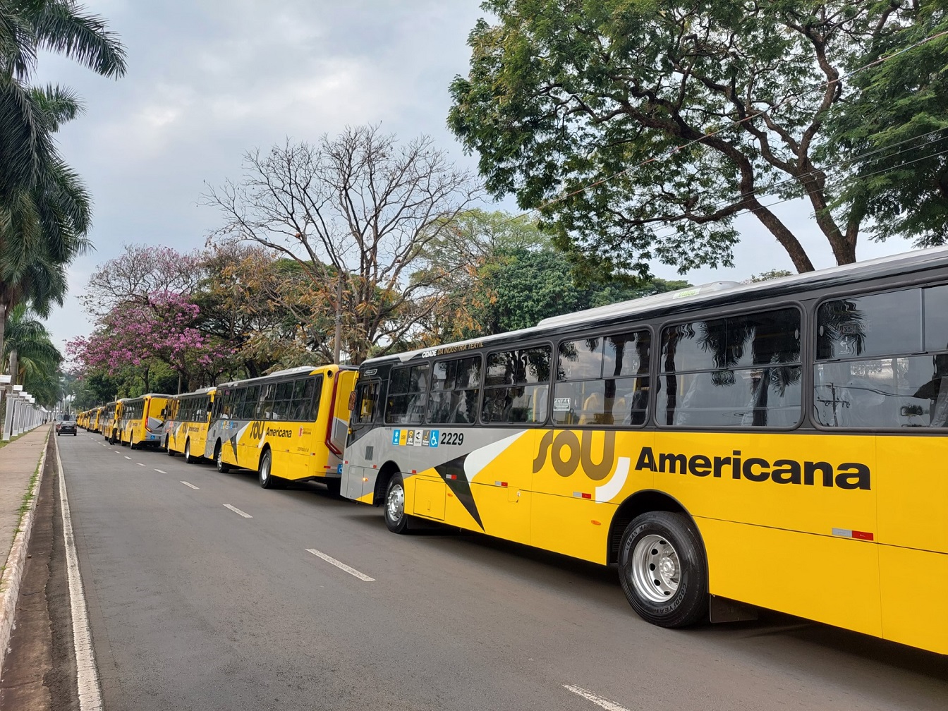 Americana aumenta subsídio e mantém passagem de ônibus a R$ 4,70