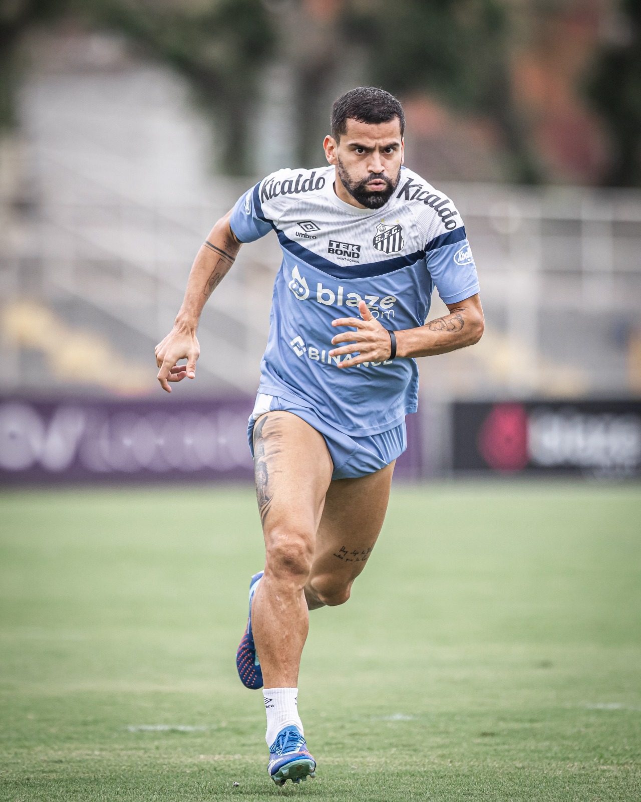 Problemas no meio de campo atrapalham Marcelo Fernandes no Santos