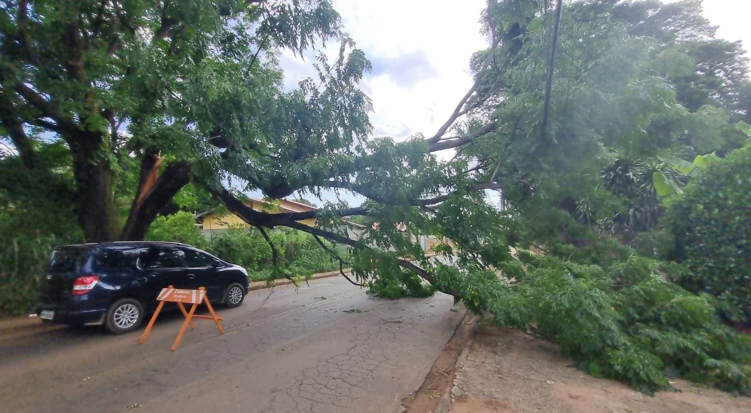 Ventania derruba galho de árvore e interdita rua em Barão Geraldo
