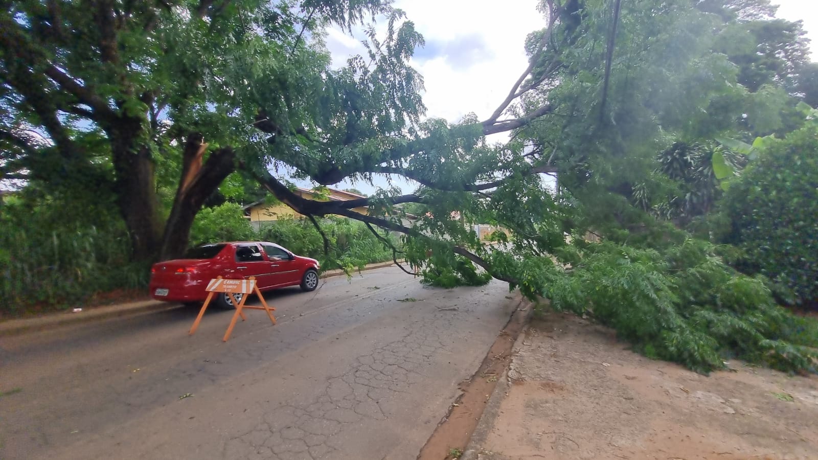 Ventania derruba galho de árvore e interdita rua em Barão Geraldo