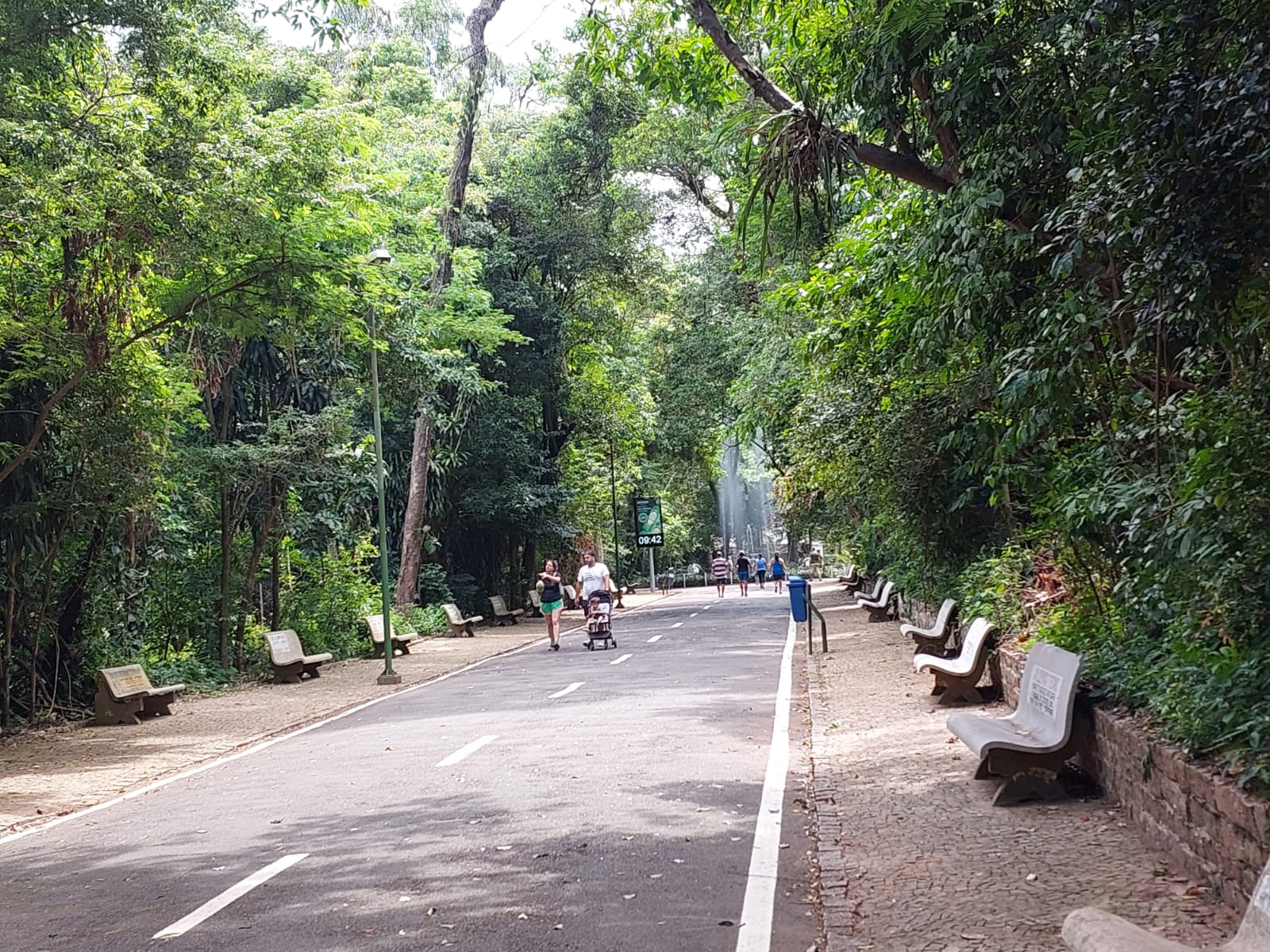 Após chuva moderada, Campinas reabre parques neste domingo