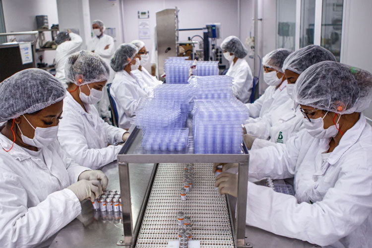 Butantan pede registro para vacina contra chikungunya