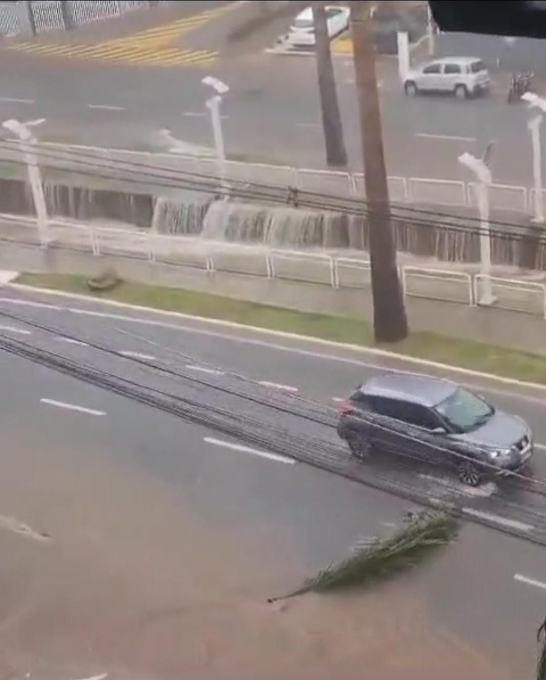 Chuva causa alagamentos e queda de árvores em Americana