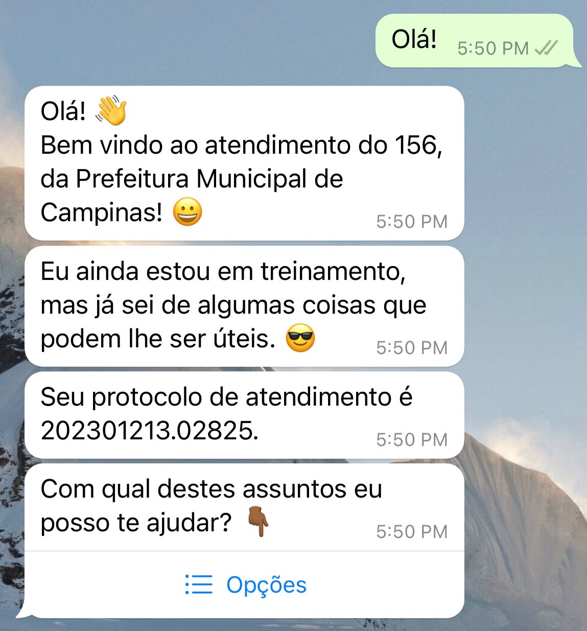Serviços do 156 podem ser feitos por WhatsApp; objetivo é agilizar atendimentos