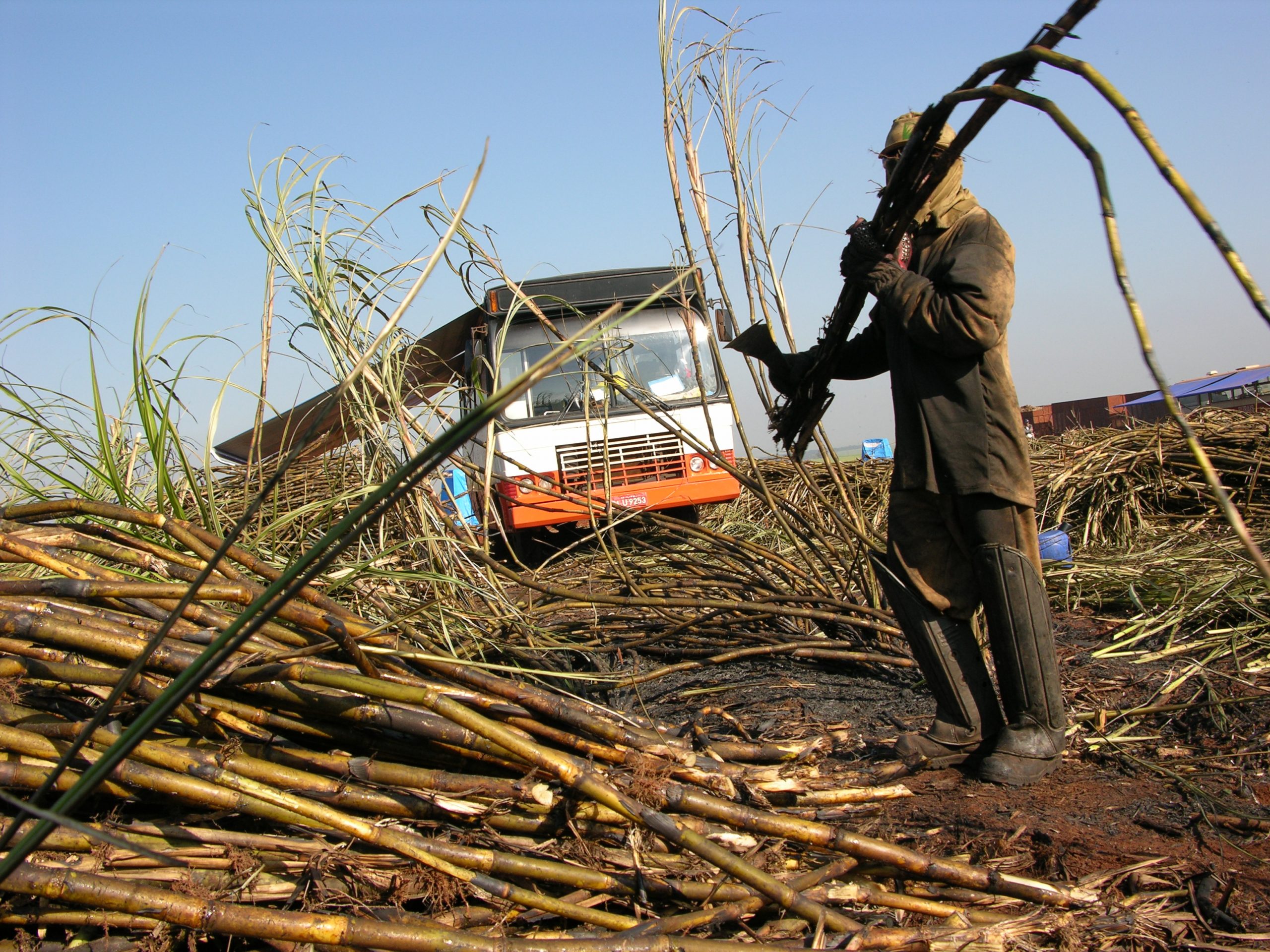 Campinas registrou 80 denúncias de trabalho escravo em 2023
