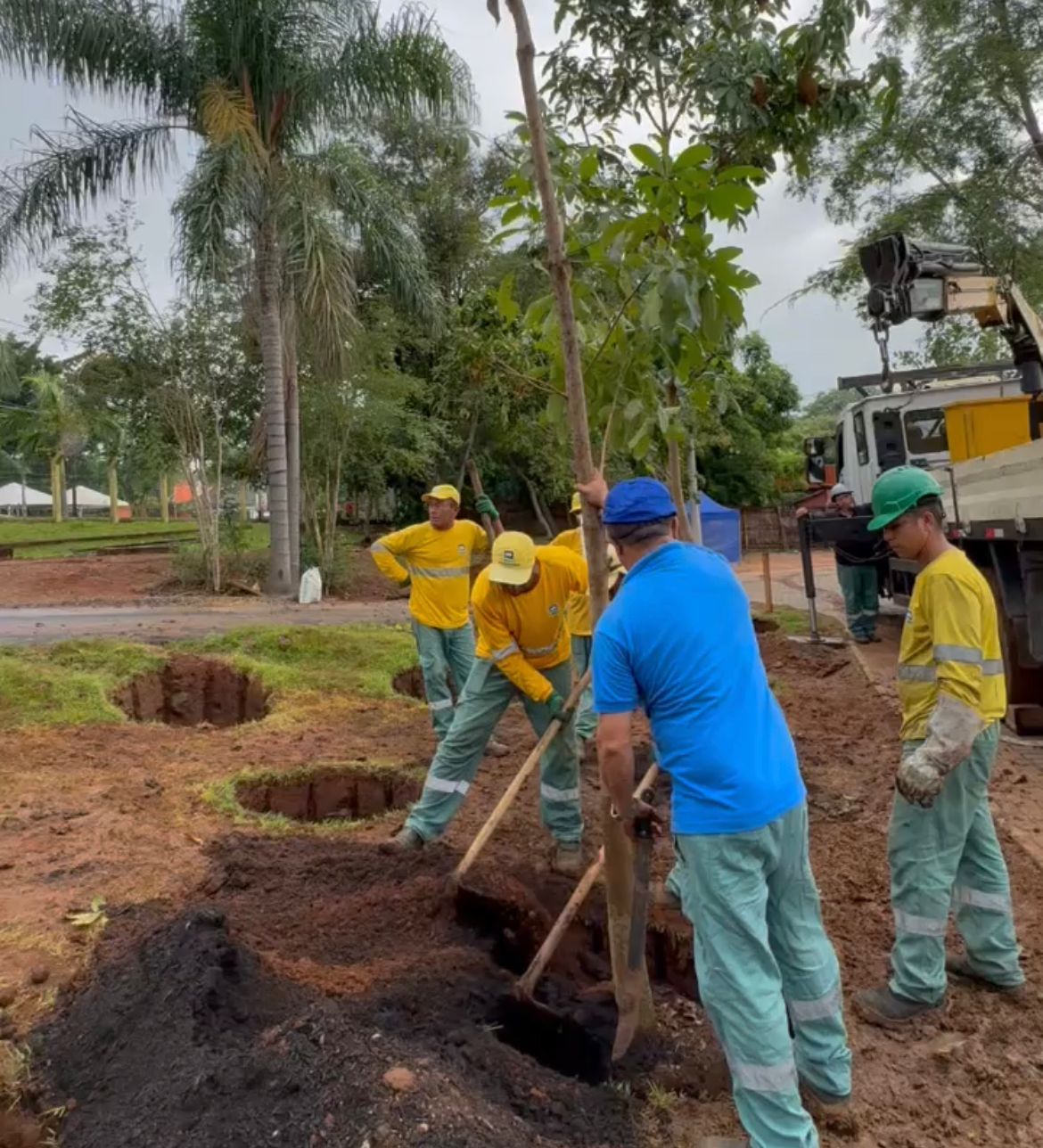 Começa o plantio de 510 árvores na Lagoa do Taquaral; menina morreu no local há um ano