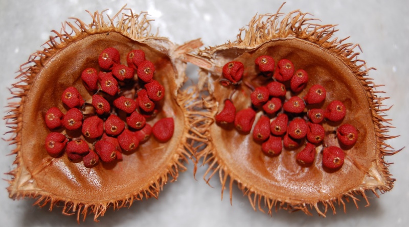 Composto à base de urucum pode auxiliar no combate à gordura no fígado; OUÇA