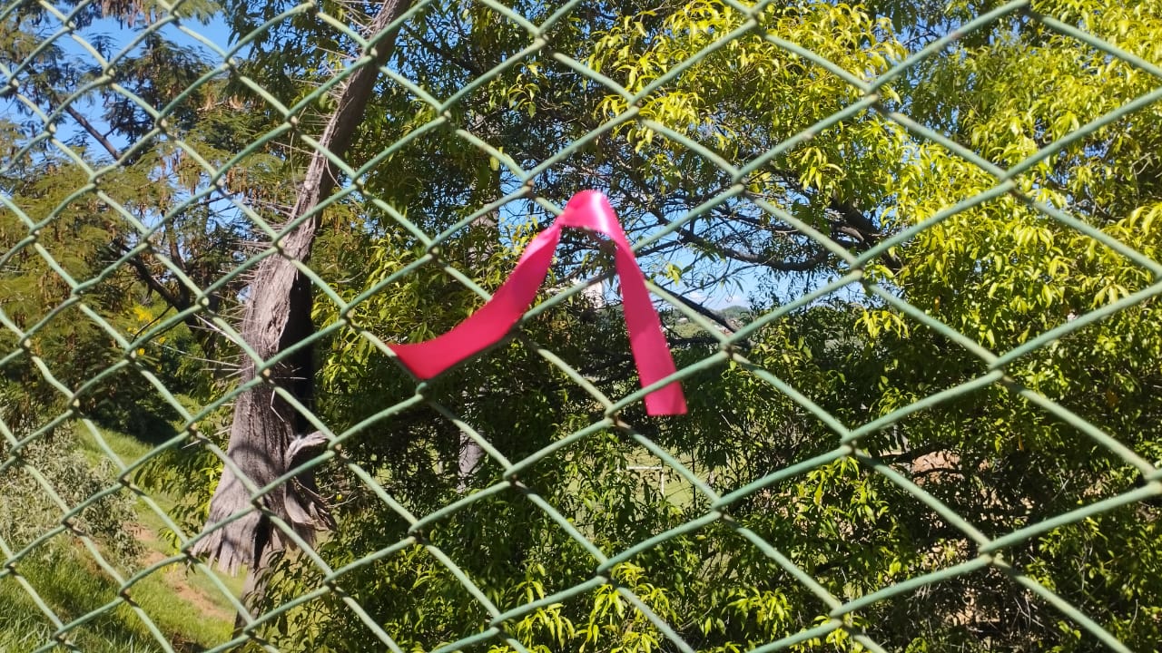 Família faz homenagem a Isabela 1 ano após tragédia no Taquaral