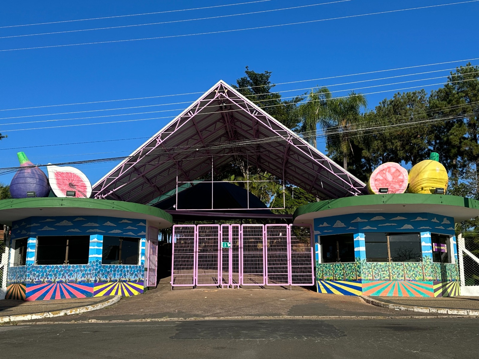 Festa do Figo: abertura oficial do evento será nesta sexta