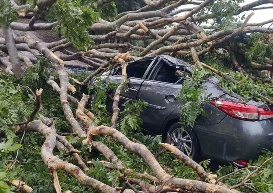 Homem morre atingido por árvore que caiu por causa da chuva em Itupeva