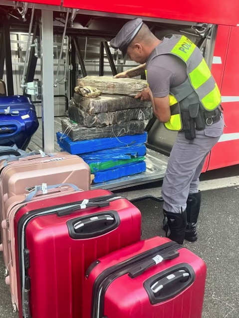 Passageiras levam 87kg de maconha e haxixe em ônibus e são presas