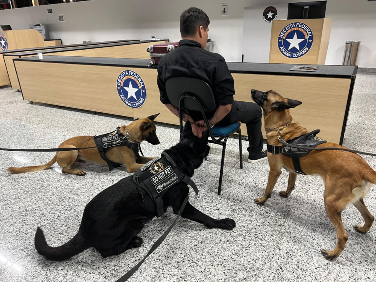 PF prende passageiro com quase 4kg de skunk em Viracopos