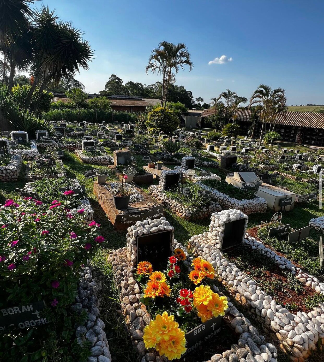 Cremação de pets cresce 10% ao ano em Campinas