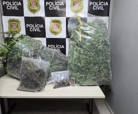 Médico é preso por tráfico de drogas em Campinas; ele estava com maconha e cogumelos