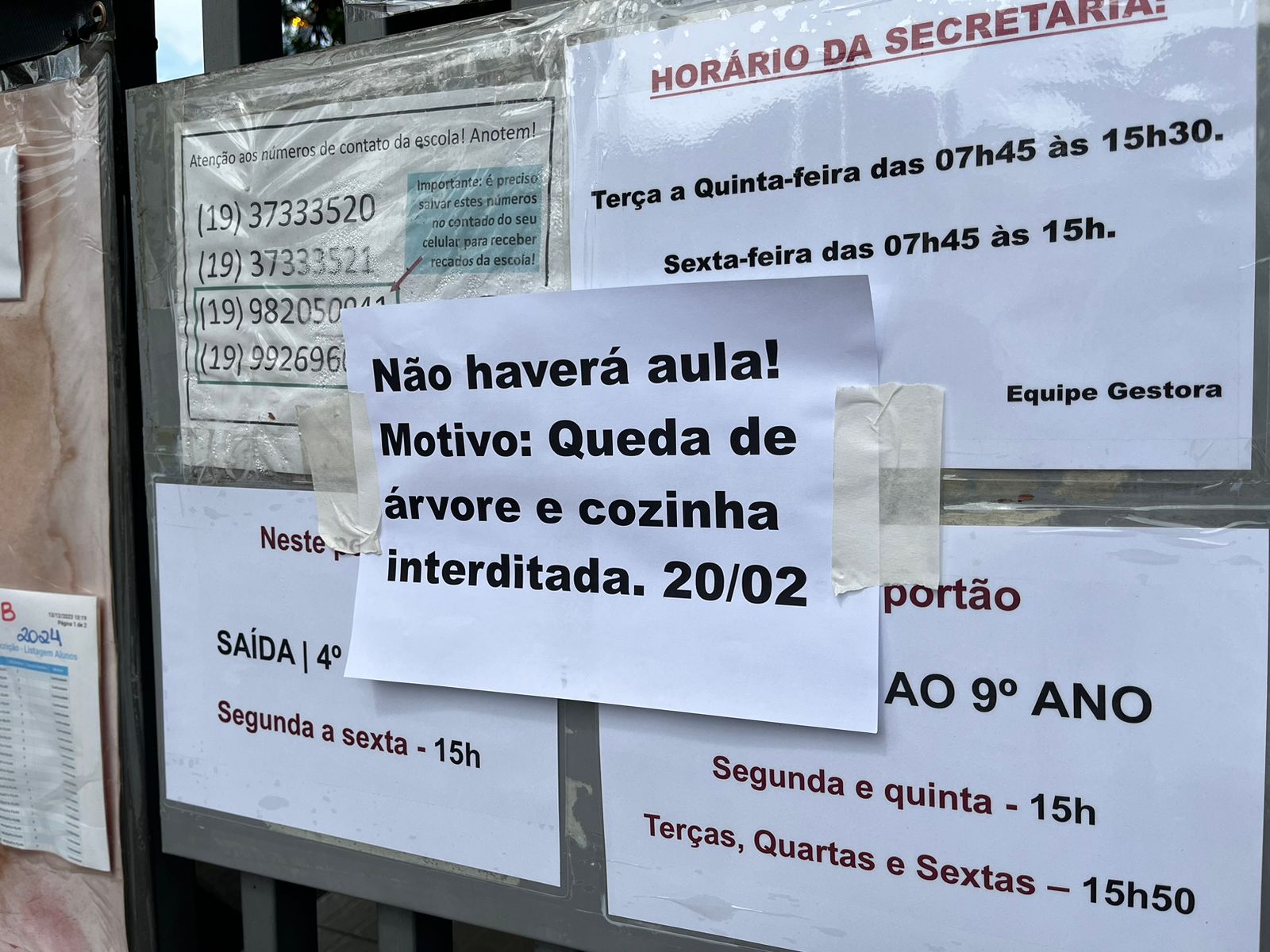 Mais de 450 alunos ficam sem aula após queda de árvore em escola 