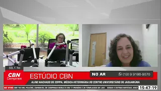 O que é recomendado fazer após o falecimento do animal doméstico