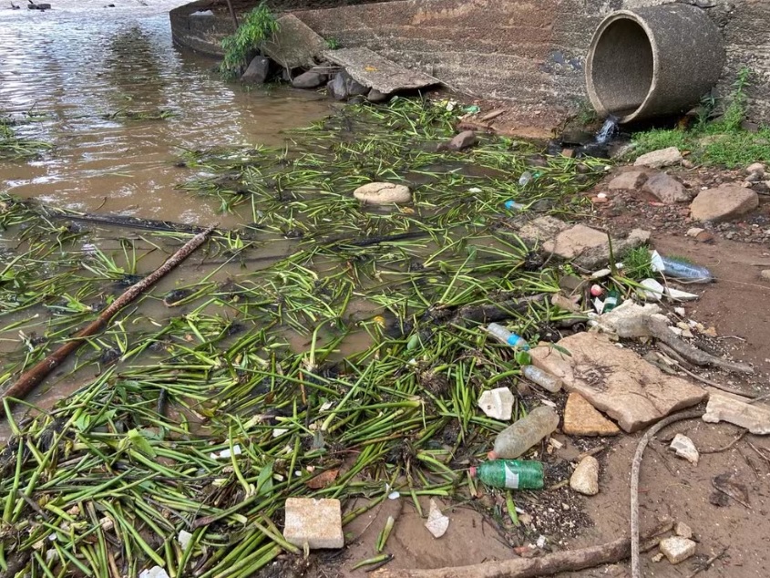 Justiça pede suspensão de procedimento que enche Rio Piracicaba de plantas aquáticas