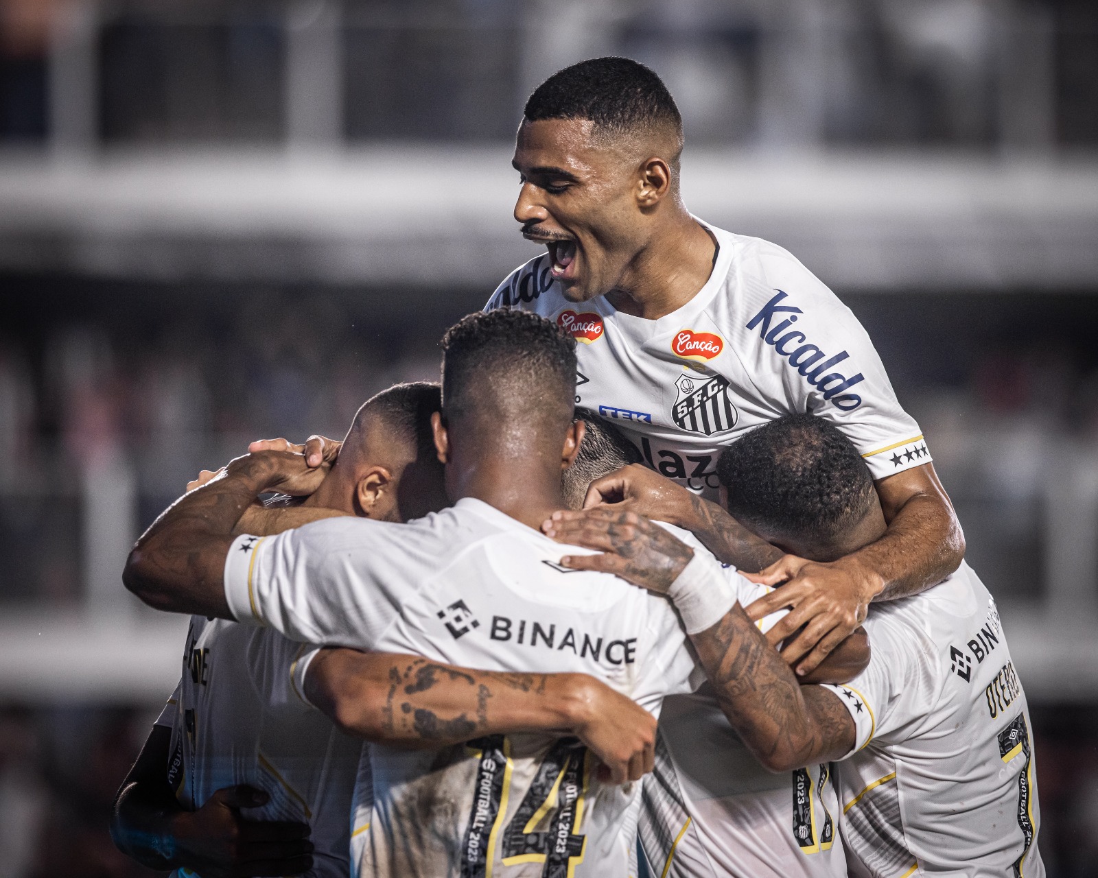 Técnico Fábio Carille admite surpresa com bom início do Santos