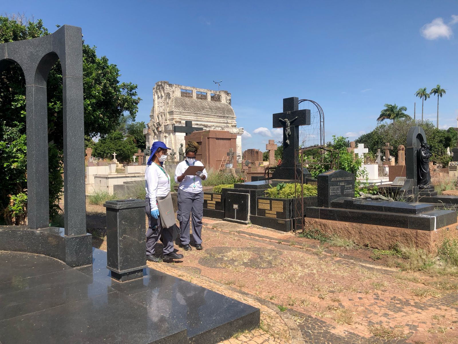 Com mais de 13 mil casos, Campinas afirma preparo para enfrentar atual cenário da dengue