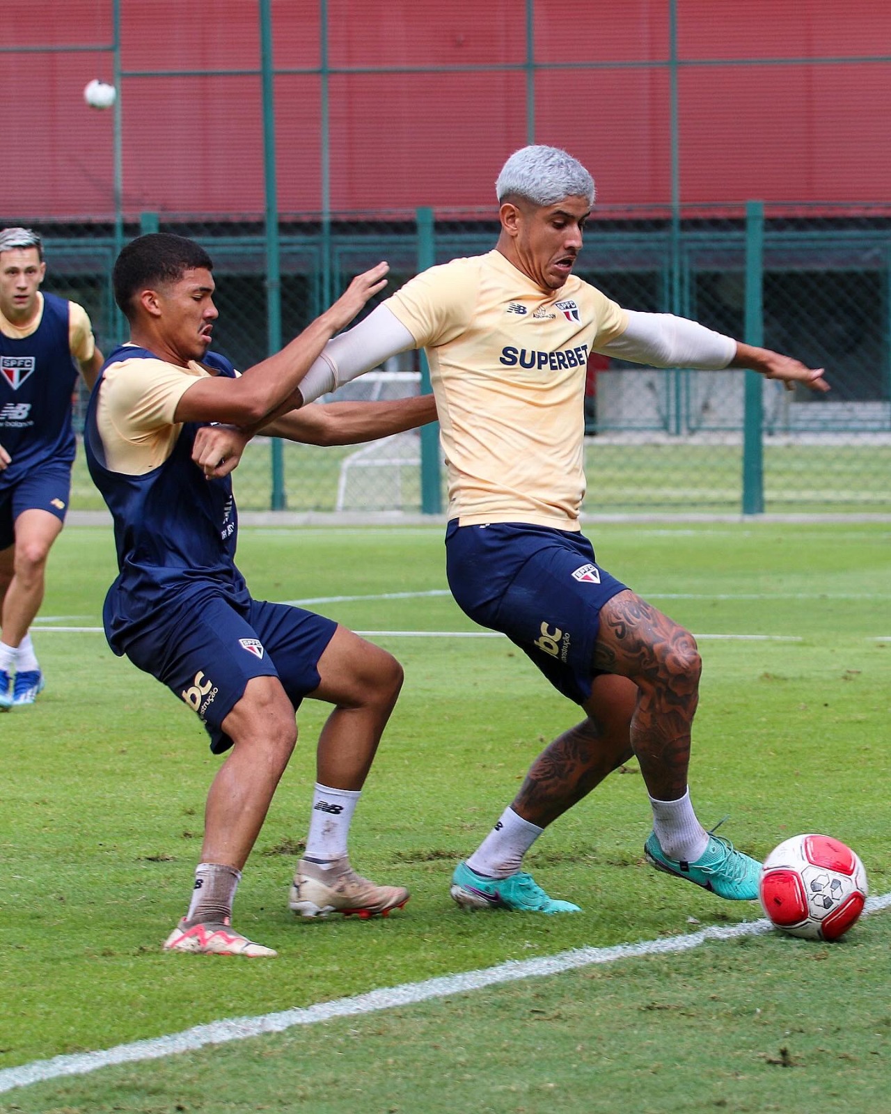 Desfalques atormentam Carpini após eliminação do São Paulo